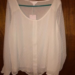 Absolutely gorgeous must have top. Sheer sleeves. Perfect fall top